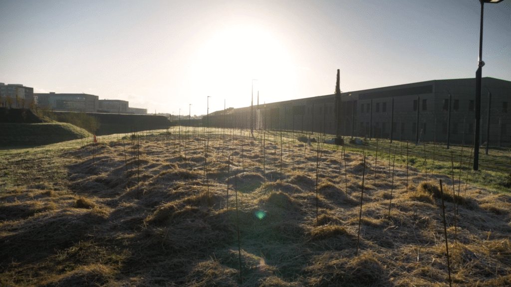 csrd biodiversité