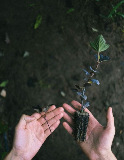csrd biodiversité