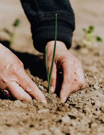csrd biodiversité