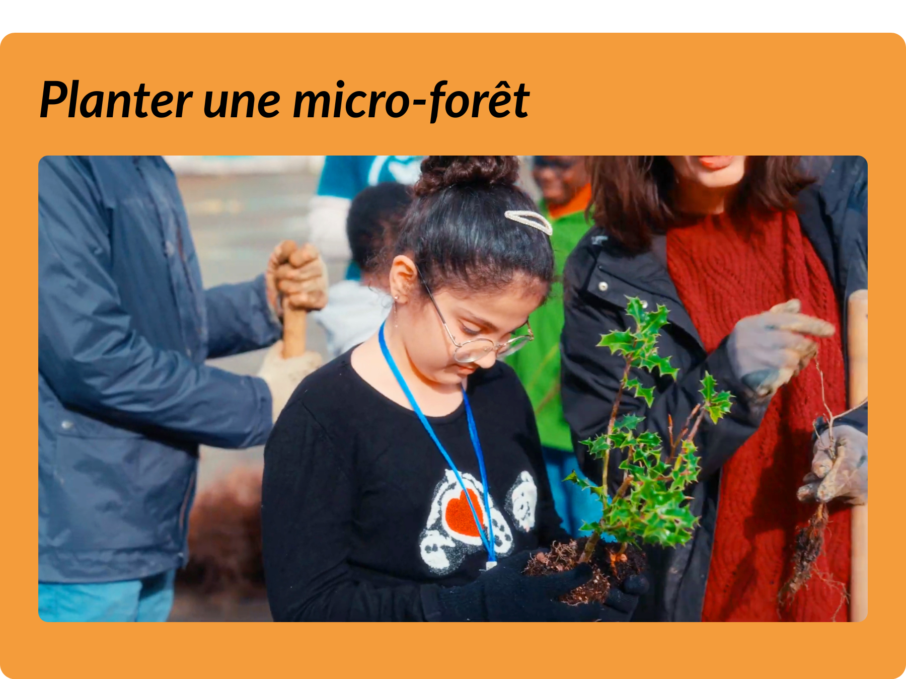 micro forêt miyawaki