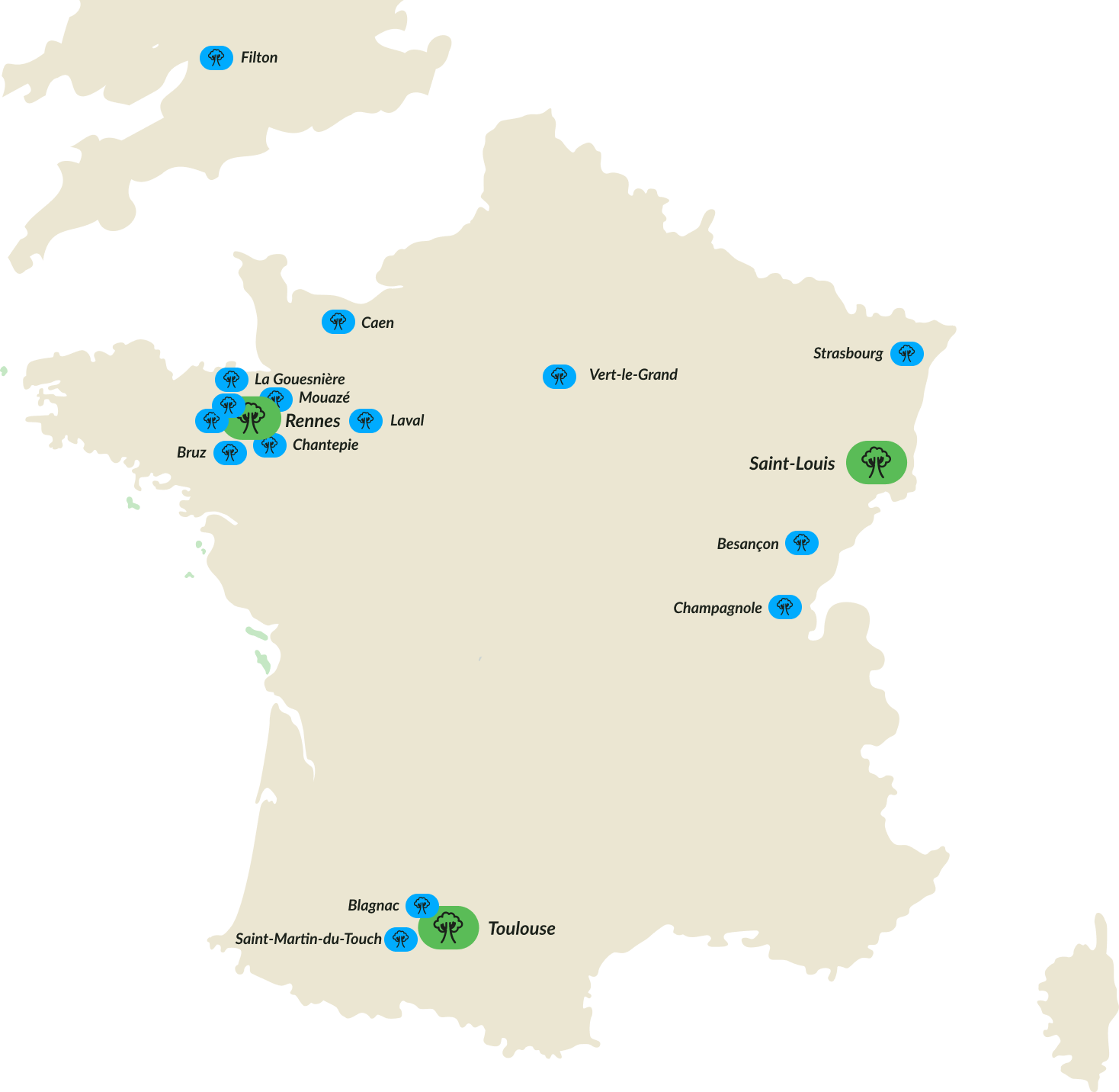 végétalisation supermarché