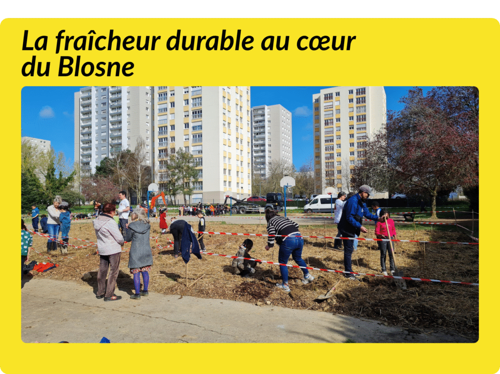 confort d'été,confort d'ete,confort-dete