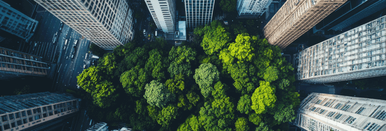Végétaliser les villes Coeur et Canopée Coeur et Canopee biodiversité vegetation urbaine