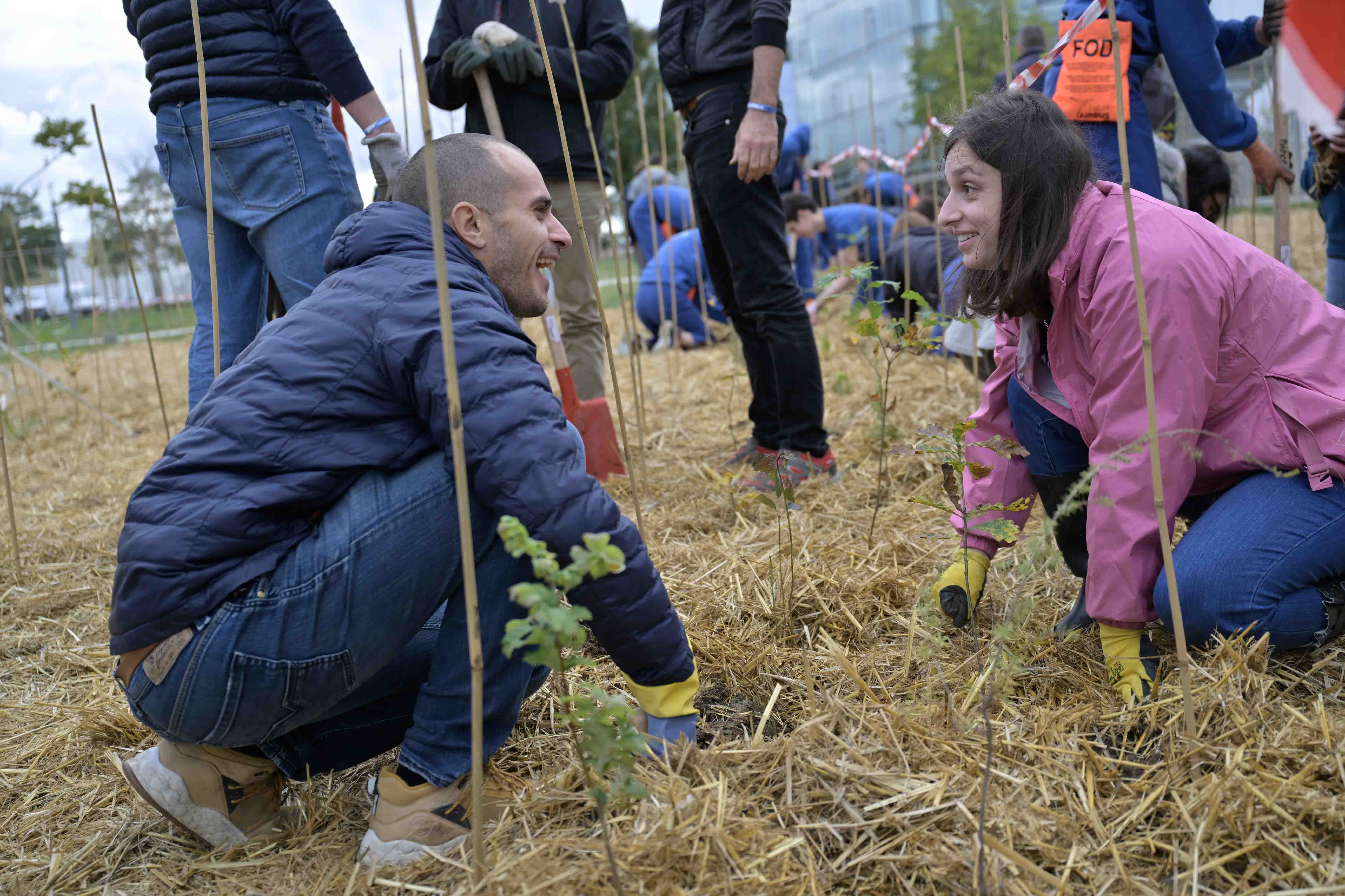 one employee one tree (1)