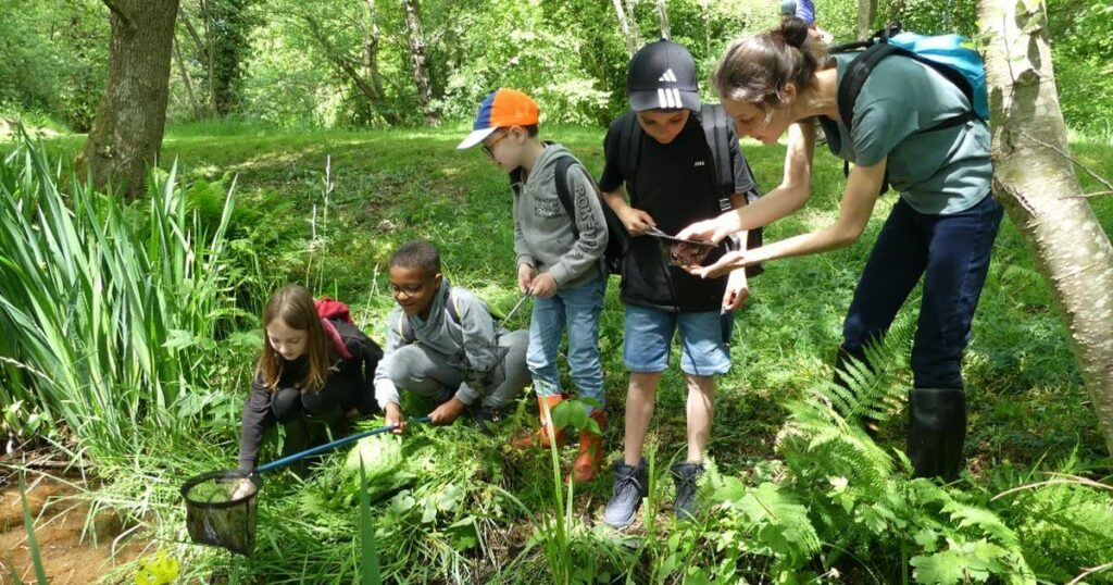 comprendre la nature 1