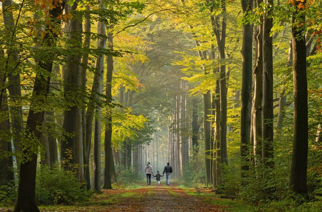 marcher en nature